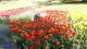 img0150.jpg