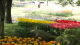 img0160.jpg