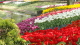 img0161.jpg