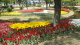 img0169.jpg
