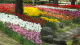 img0176.jpg