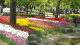 img0177.jpg