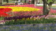 img0179.jpg