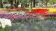 img0183.jpg