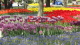 img0184.jpg