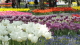 img0185.jpg