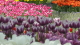 img0186.jpg