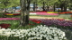 img0187.jpg