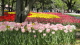 img0193.jpg