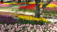 img0195.jpg