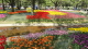img0198.jpg