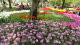 img0199.jpg