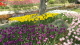 img0202.jpg