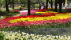 img0207.jpg