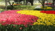 img0211.jpg