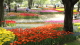 img0213.jpg