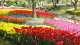 img0214.jpg
