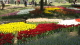 img0218.jpg