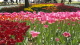 img0219.jpg