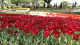 img0220.jpg