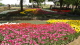 img0221.jpg