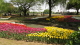 img0223.jpg