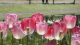 img0224.jpg