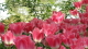 img0226.jpg