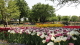 img0233.jpg