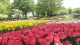 img0236.jpg