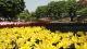 img0238.jpg
