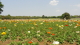 img0243.jpg