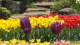 img0247.jpg