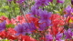 img0269.jpg