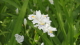 img0280.jpg