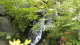 img0283.jpg