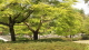 img0288.jpg
