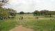 img0290.jpg