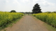 img0295.jpg