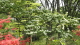 img0301.jpg