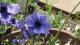 img0314.jpg