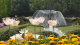 img0322.jpg