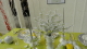 img0040.jpg