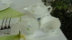img0056.jpg