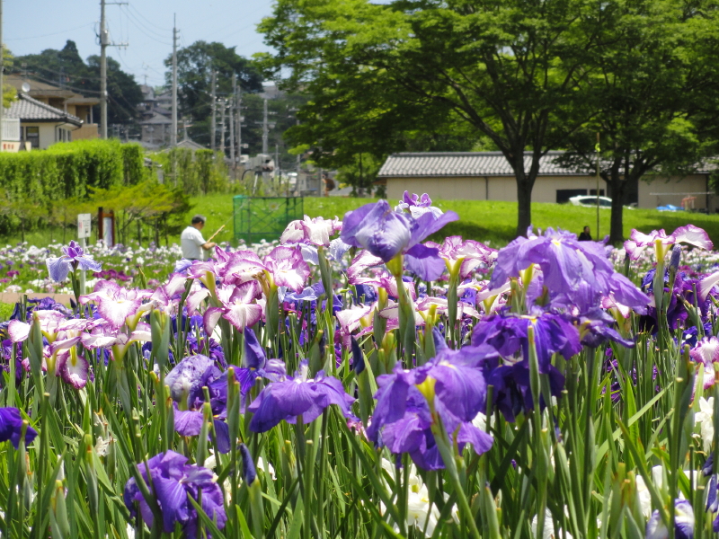 img0005.jpg