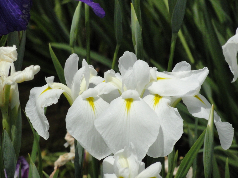 img0015.jpg