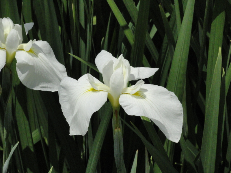 img0016.jpg