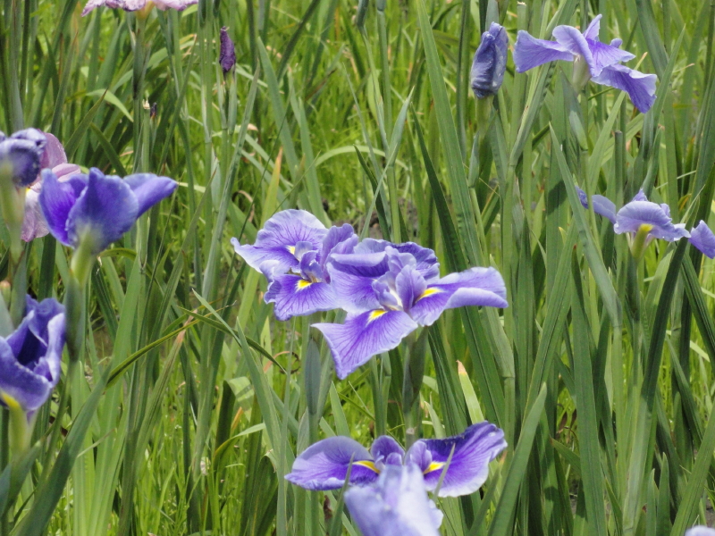 img0019.jpg