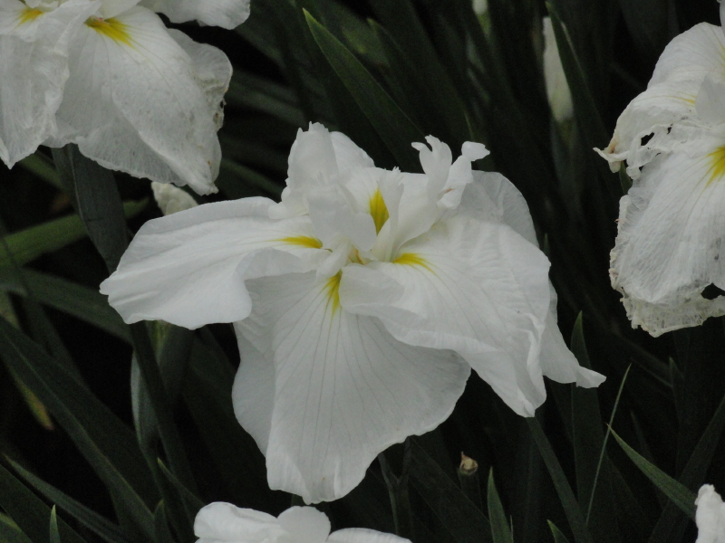 img0022.jpg