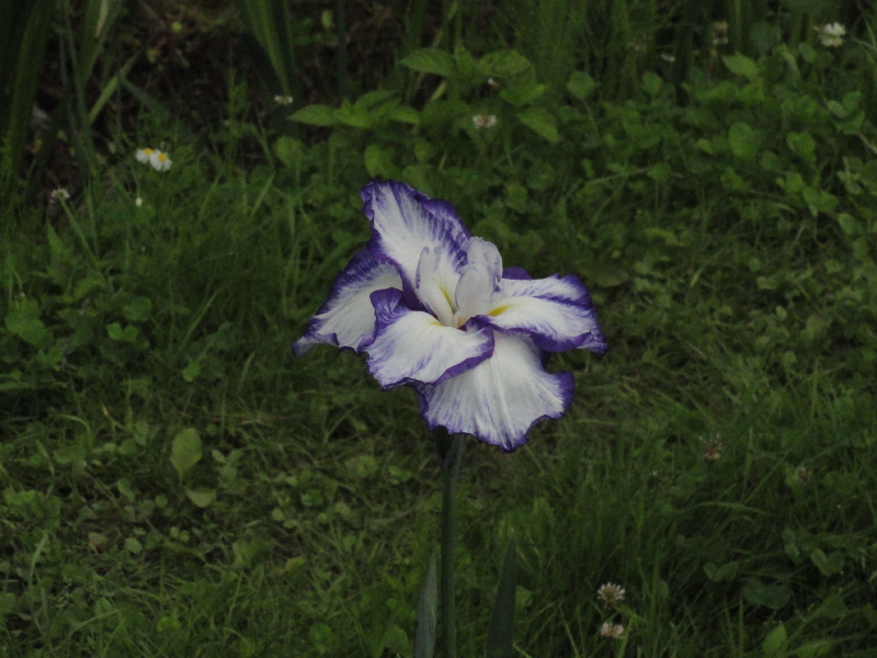 img0026.jpg